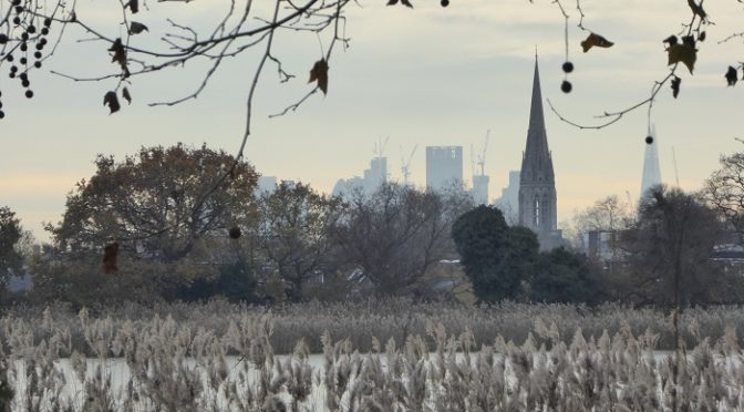 THURSDAY 23rd JANUARY WOODBERRY WETLANDS to ABNEY PARK (Linear) 5.5 miles approx.