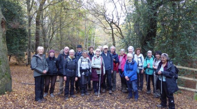 Chingford to Epping on 2nd November 2024