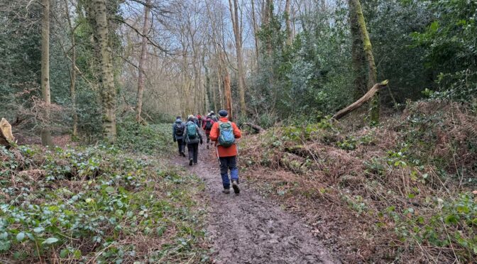 KINGS LANGLEY CIRCULAR – 25 JANUARY 2025