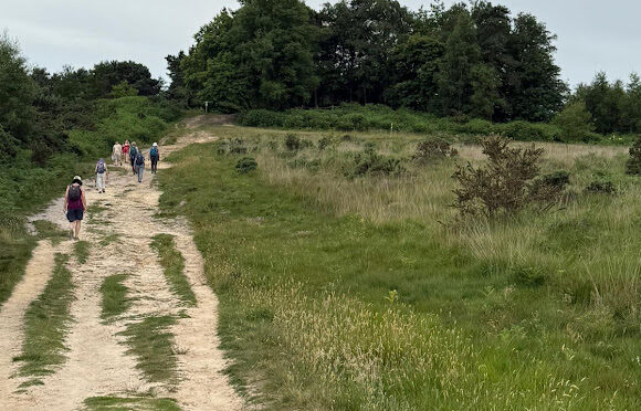 The Vanguard Way Section 5 Forest Row to Poundgate – 21 June 2025