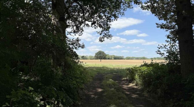 SATURDAY JULY 26th LEIGH to SEVENOAKS (Linear) 9 miles