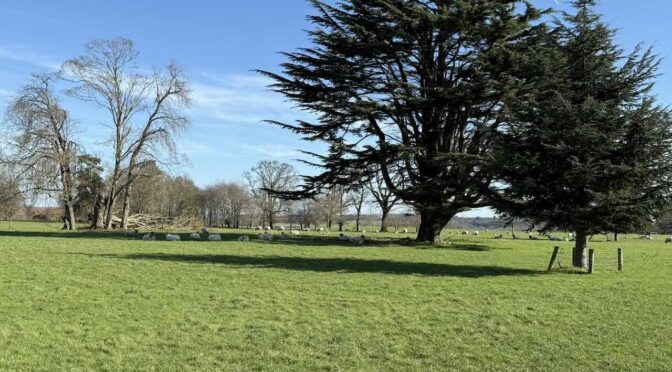 SATURDAY 7th MARCH HENLEY via HAMBLEDON (Circular) 9.5 miles.