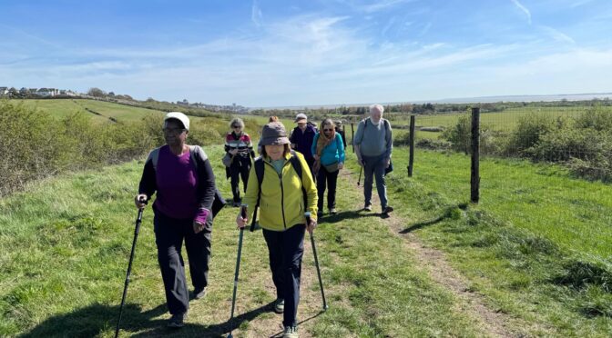 EASTER MON 6th APRIL HADLEIGH COUNTRY PARK (Circular) 5.6 Miles