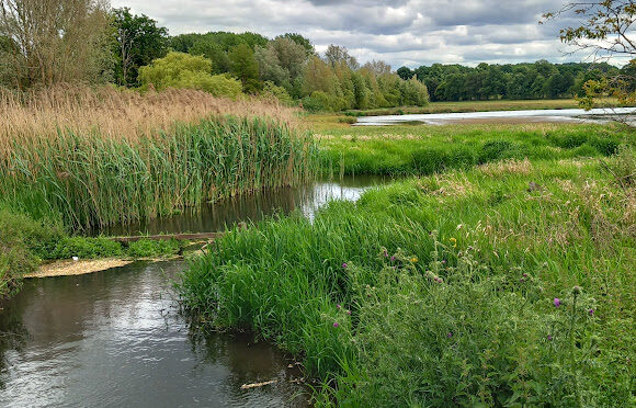 Three Burys St Albans – 31 May 2026