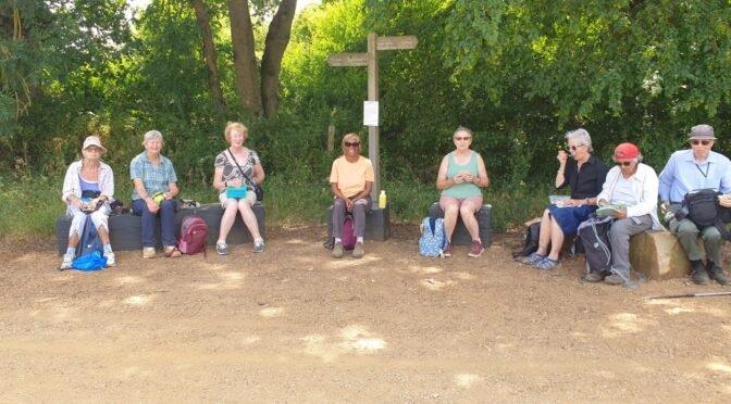 WEDNESDAY 15 JULY -THE SALMONS BROOK TRAIL PART 1 – HADLEY WOOD TO GRANGE PARK